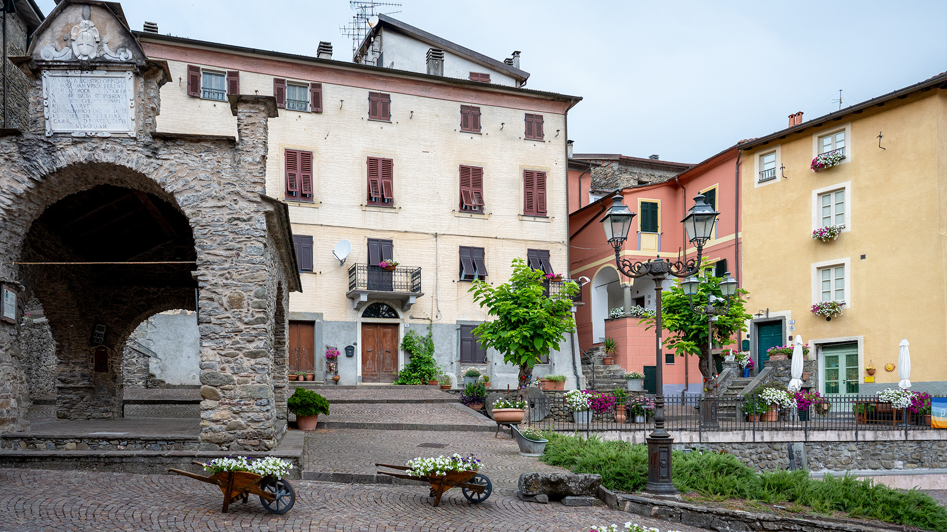 pignone 6